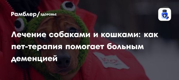 Домашние животные в борьбе с деменцией у пожилых людей