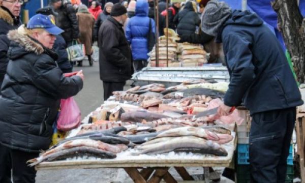 Сравнение сельди и красной рыбы полезные свойства и особенности