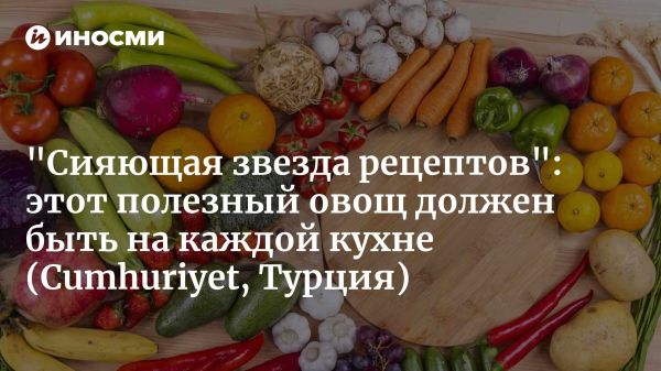 История моркови от древности до современных кулинарных шедевров