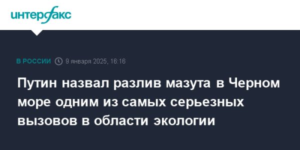 Путин обозначил разлив мазута в Черном море как экологическую угрозу