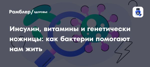 Польза бактерий для экосистемы и здоровья человека