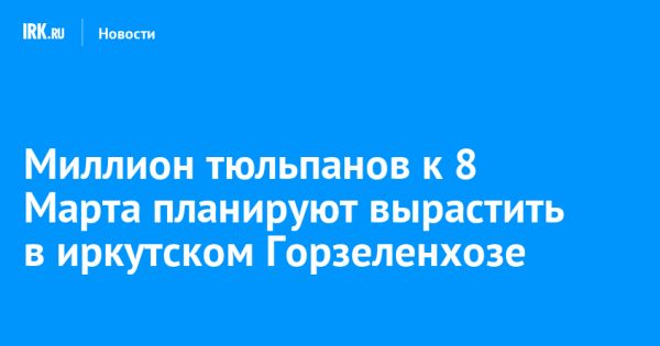 Горзеленхоз Иркутска вырастит миллион тюльпанов к 8 Марта