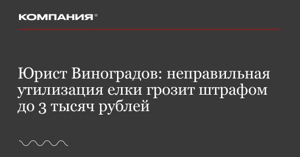 Штрафы за неправильную утилизацию новогодней елки в России