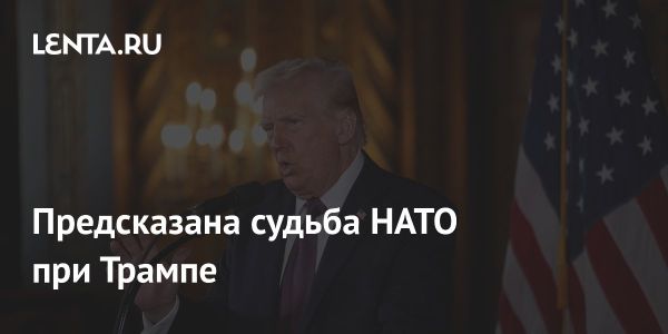 Стабильность НАТО при президентстве Дональда Трампа