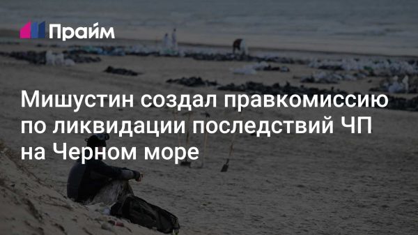 Создание комиссии для ликвидации разлива нефтепродуктов в Керченском проливе