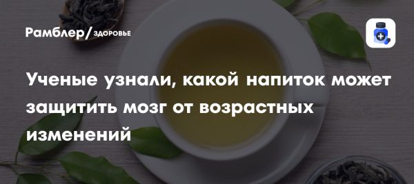 Влияние зеленого чая на здоровье мозга пожилых людей