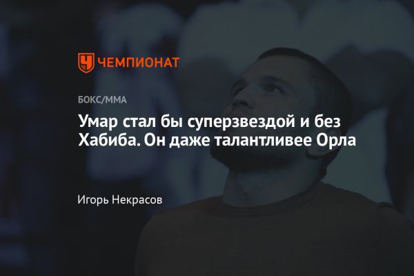 Умар Нурмагомедов и Мераб Двалишвили встретятся на UFC 311