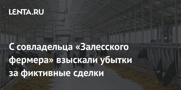 Суд удовлетворил иск Николая Елисеева к партнеру по бизнесу Андрею Романову