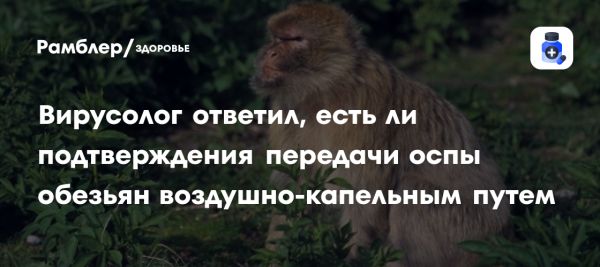 Профессор Карпова о возможности передачи оспы обезьян