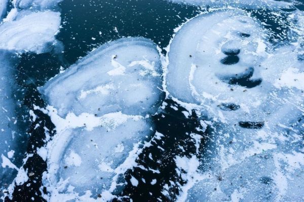 Травмы мальчика на катке в Красном поле: вопросы безопасности и медпомощи