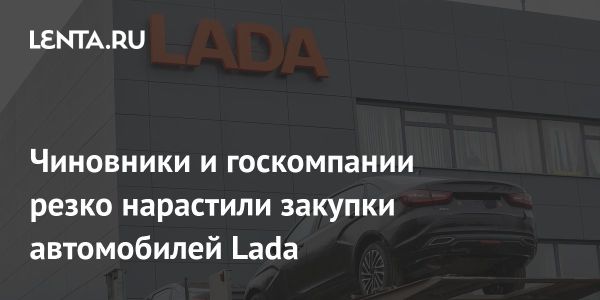 Рост государственных закупок автомобилей в 2024 году