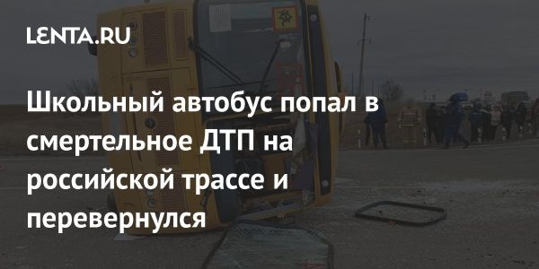 Трагическая авария с автобусом в Волгоградской области унесла жизнь ребенка