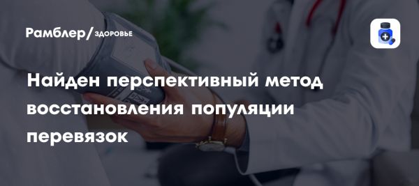 Научный метод заморозки эмбрионов животных может восстановить популяцию перевязки