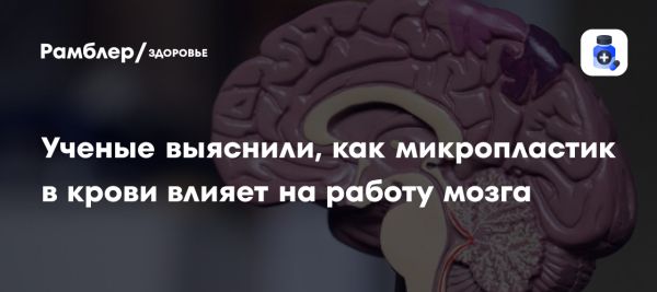 Исследование микропластиков выявляет риски для здоровья мозга