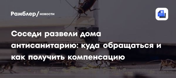 В Госдуме разрабатывают законопроект об ужесточении ответственности за антисанитарные условия