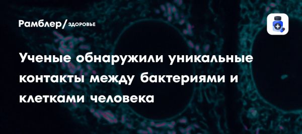 Открытие стабильных контактов между Rickettsia parkeri и клеточной структурой