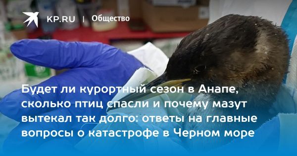 Волонтеры очищают Черное море от загрязнений после трагедии