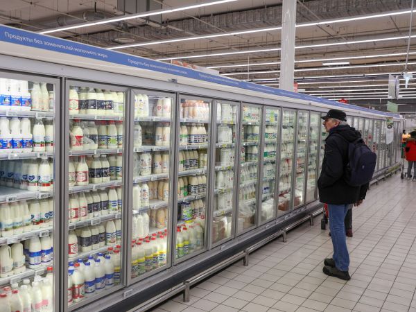 Увеличение фальсификации молочной продукции в России в 2024 году