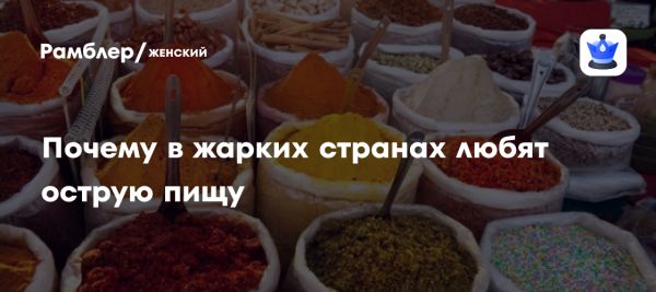 Влияние климата на использование специй в кулинарии мира