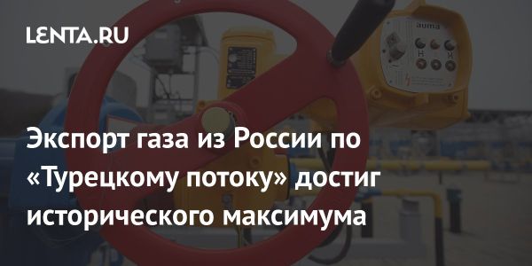 Рекордные поставки российского газа через Турецкий поток