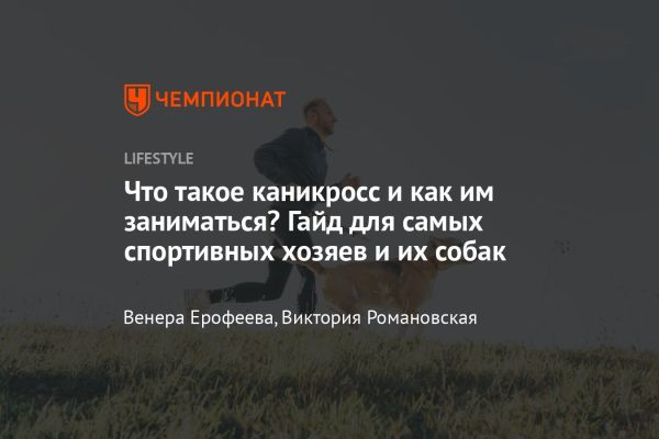 Каникросс как активный вид спорта для владельцев собак