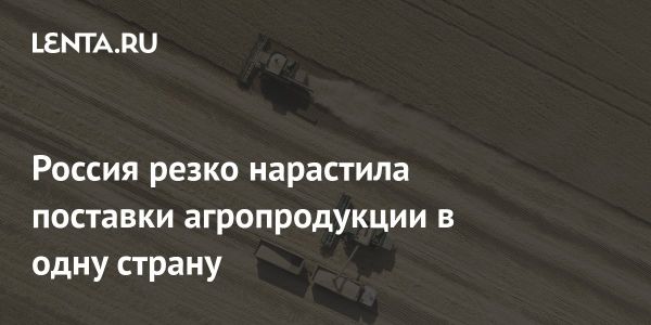 Экспорт российской агропродукции в Египет вырос на 20% в 2024 году