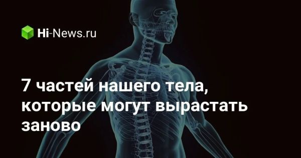 Способности нашего тела к восстановлению тканей