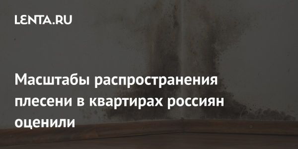 Проблема плесени в квартирах россиян и ее здоровье угрозы