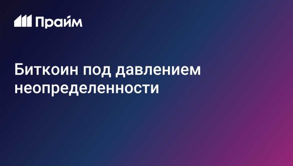 Курс биткойна на 5 февраля 2023 года и его волатильность