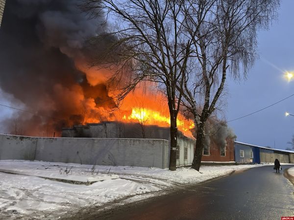 Новости Пскова и поручения Путина об образовании