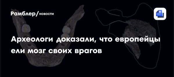 Исследование подтверждает каннибализм эпохи Мадлен в Польше 18 тысяч лет назад