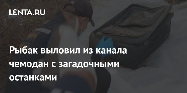 В Таиланде найден чемодан с человеческими останками