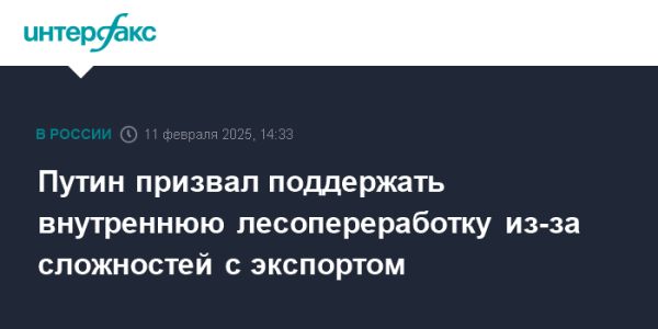 Поддержка лесопереработчиков в России согласно инициативам Путина