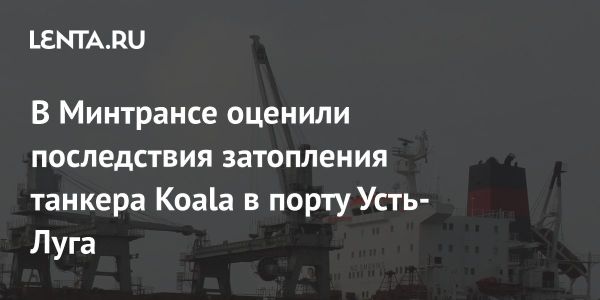 После затопления танкера Koala в Усть-Луге утечек мазута не обнаружено