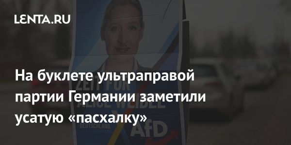 Ультраправое движение Германии и спорная брошюра с изображением Гитлера