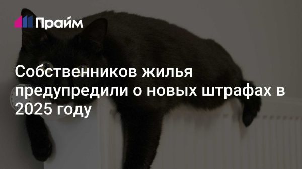 Новое законодательство о жилье и ответственности владельцев в 2025 году