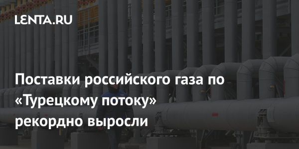 Рекордные объемы поставок российского газа в Европу по Турецкому потоку в феврале 2025 года