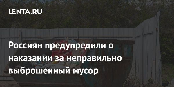 Штрафы за неправильную утилизацию мусора в России