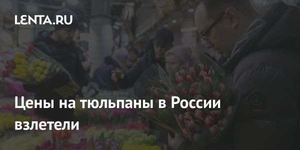 Рост цен на тюльпаны в России и их сравнение с розами