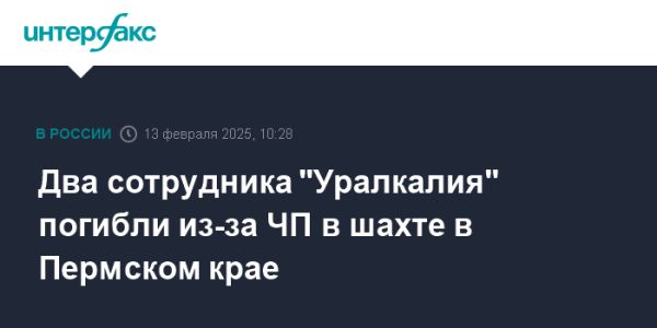 Трагедия на шахте в Пермском крае унесла жизни двух работников