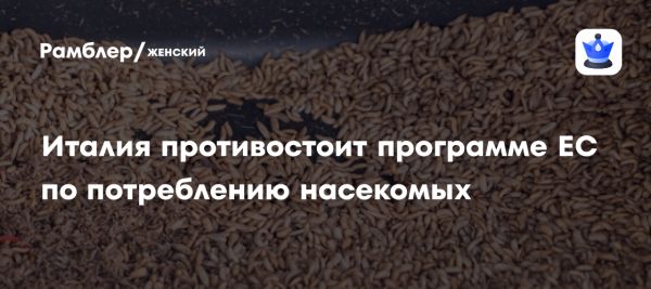 Италия против продуктов из насекомых защита кулинарного наследия