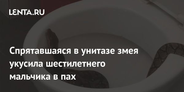 В Куала-Лумпуре шестилетнего мальчика укусил питон в туалете