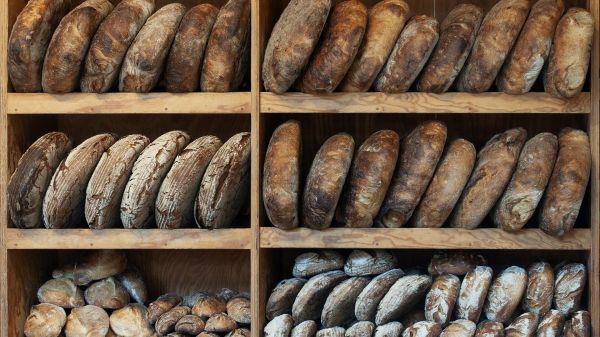 Рекомендации по употреблению глютена и его влиянию на здоровье