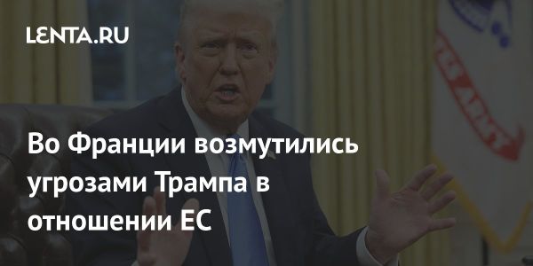 Французский депутат критикует планы Трампа по повышению экспортных тарифов