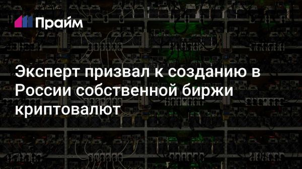 Создание криптобиржи в России как шаг к улучшению рынка и налогового контроля