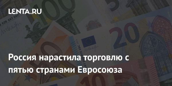 Россия увеличила торговлю с Евросоюзом в 2024 году