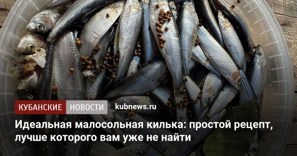 Приготовление вкусной малосольной кильки в домашних условиях