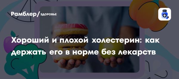 Влияние холестерина на сердечно-сосудистую систему и профилактика заболеваний