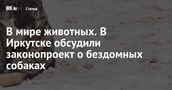 В России растет число пострадавших от укусов собак и обсуждается новый законопроект