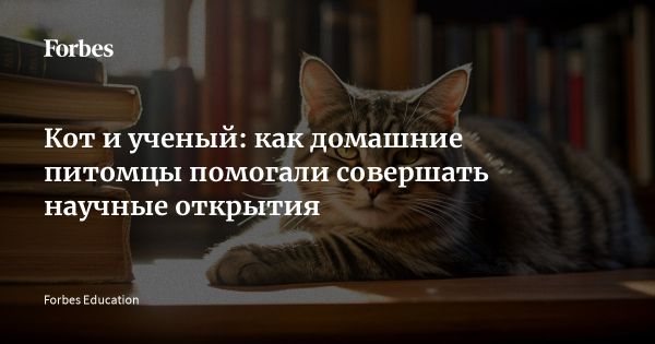 Влияние домашних животных на творческий процесс известных ученых